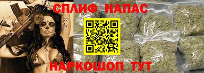эйфоретик Малгобек